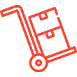 Customs Icon